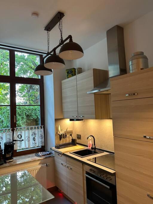 Ruhige Wohnung Im Fabrikstil In Chemnitz  Exteriér fotografie